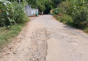  நெய்வாசல் தார் சாலையை சீரமைக்க கோரிக்கை