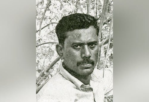  குறைந்த முதலீட்டில் நிறைவான லாபம் தரும் முருங்கை சாகுபடி!