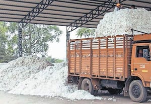  பருத்தி மீதான இறக்குமதி வரி ரத்து