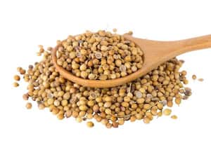  தனியா விலை 80 சதவிகிதம்  உயர்வு :கடந்த 2 ஆண்டுகளில் அதிகம்