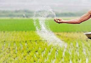 Fertilizer prices rise due to US-Iran war Farmers worry summer cultivation will be affected