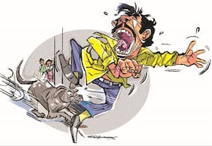 Stray dog bites 60 people in one day
