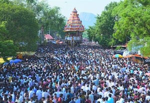  சிங்கம்புணரி சேவுகப்பெருமாள் ஐயனார் கோயில் வைகாசி தேரோட்ட விழா