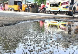  திறந்த வெளி அருங்காட்சியகத்தில் குளவியால் சுற்றுலா பயணிகள் அச்சம்