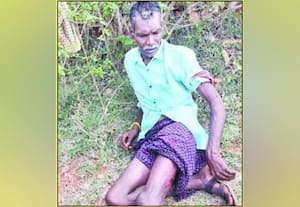  காட்டு கூச்சல் போட்டு புலியை விரட்டிய நபர்