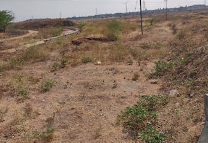வறண்டு கிடக்கும் வடபருத்தியூர் கருங்குளம்: புதர் மண்டிய நீர்வரத்து கால்வாய்களால்...துார்வார வேண்டும்