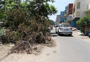  முறிந்து விழுந்துள்ள மரக்கிளைகளால் வாகன போக்குவரத்திற்கு இடையூறு