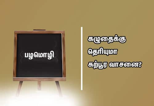  பழமொழி