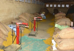  மஞ்சள் வார சந்தையில் ரூ.1.13 கோடி வர்த்தகம்