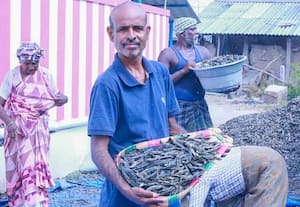  மூலிகை சாகுபடியில் நிறைவான லாபம்!