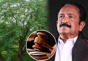 சீமைக்கருவேல மரம் விவகாரம்: அதிகாரிகளுக்கு ஐகோர்ட் கெடு