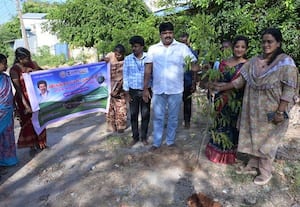  விருத்தாசலம் நகராட்சியில் மரக்கன்று நடல்