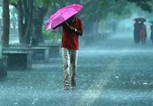 கேரளாவில் பருவமழை தீவிரம்; நாளை 3 மாவட்டங்களுக்கு ரெட் அலர்ட்; மழையால் 7 பேர் பலி
