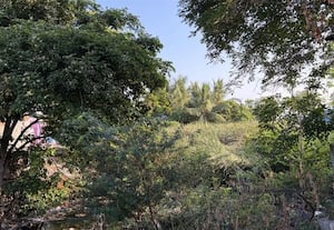 சித்துராஜபுரம் ஓடையை துார்வார எதிர்பார்ப்பு