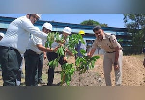  பயோனியர் ஜெல்லைஸ் மரக்கன்றுகள் நடும் விழா
