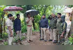  மங்குழியில் புலி நடமாட்டம் டிரோன் கேமராவில் கண்காணிப்பு