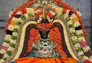  நாகாத்தம்மன் கோவிலில் கும்பாபிஷேகம் விமரிசை