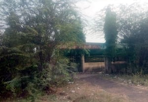  'அம்மா' பூங்கா மற்றும் உடற்பயிற்சி கூடம் பராமரிப்பின்றி 'குடி' மையமாக மாறிய அவலம்