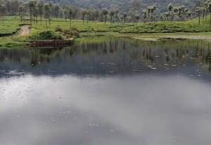  பருவமழையால் நிரம்பும் தடுப்பணை