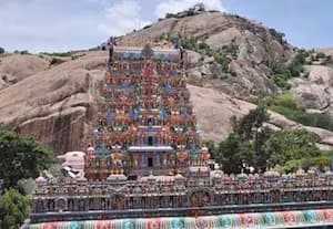 திருப்பரங்குன்ற தீபத்துாண் விவகாரம்; அமைச்சருக்கு ஹிந்து அமைப்புகள் கண்டனம்