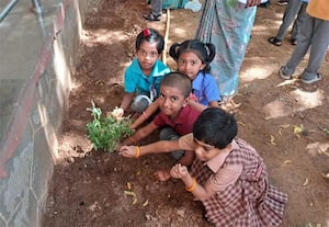 அம்ருதவித்யாலயம் பள்ளிகளில் அயுத் அமைப்பு தேனீ-தாவர முன்முயற்சி