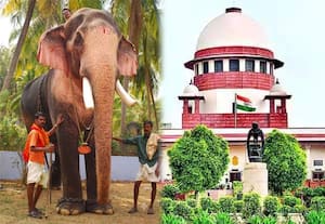 கேரளாவிலேயே உயரமான 'ராமன்' யானை அரசே சொந்த செலவில் பராமரிக்க சுப்ரீம்கோர்ட் உத்தரவு