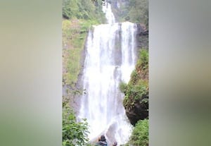 சிக்கமகளூரு அருவிகளில்  ஆர்ப்பரித்து கொட்டும் தண்ணீர்