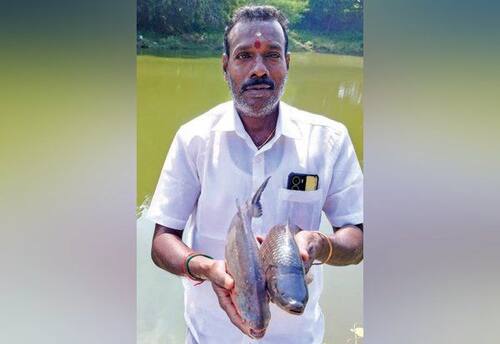  மீன் குஞ்சுகள் விற்பனையில் ஓராண்டு லாபம் ரூ.15 லட்சம்!