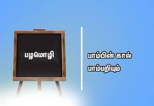  பழமொழி