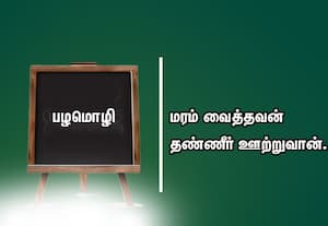  பழமொழி