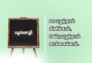  பழமொழி