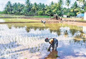  இயற்கை விவசாயத்துக்கு இனி எதிர்காலம்