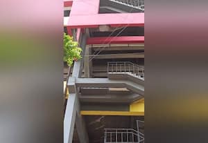  நேரு விளையாட்டு அரங்கில் தேனீக்கள் கொட்டியதால் சிறுவர்கள், பெற்றோர் ஓட்டம்