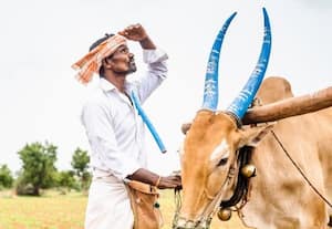  'பருவமழை குறைவால் பாதிப்பு ஏற்படலாம்'