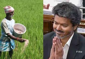 ரூ.75 ஆயிரம் வரை பயிர்க்கடன் முழுவதும் தள்ளுபடி; தமிழக அரசு அறிவிப்பு