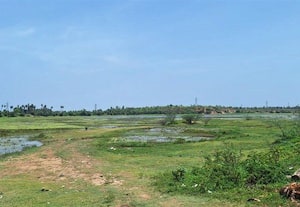 மாநகர மையத்தில் உள்ள கொண்டங்கி ஏரி...  சீரமைக்கப்படுமா? துார் வாரினால் கொள்ளளவு உயர வாய்ப்பு