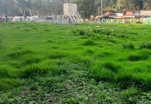  'கொடை' அண்ணா பூங்கா புத்துயிர் பெறுமா