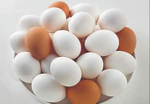 முட்டை விலை மீண்டும் உச்சம்
