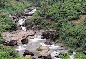 சாரல் மழையான பருவமழை :ஆற்றில் குறைந்தது நீர்வரத்து