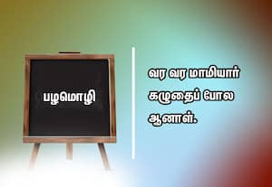  பழமொழி