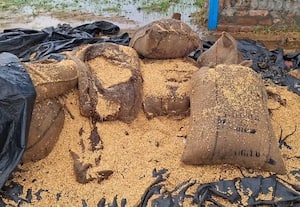 நெல் கொள்முதல் நிலையத்தில் மழையில் வீணாகும் மூட்டைகள்