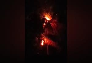  நள்ளிரவில் மின்னல் தாக்கி தென்னை மரம் எரிந்து சேதம்