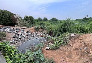  தனியார் உணவக கழிவுநீரால் சீரழியும் மாம்பாக்கம் ஏரி