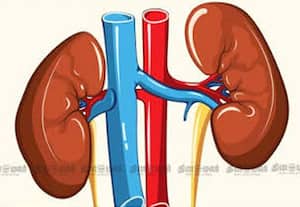 கேரளாவில் மருத்துவ சுற்றுலா பெயரில் செயல்பட்ட 'கிட்னி' கடத்தல் கும்பல்