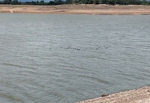  வைகை அணை நீர்மட்டம் உயர்வு