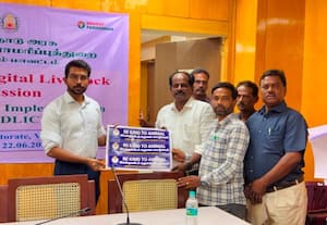 தெரு நாய்கள் இனப்பெருக்க கட்டுப்பாடு கலெக்டர் தலைமையில் ஆய்வு கூட்டம்
