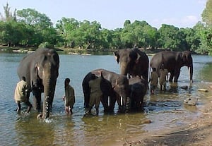  இந்தியாவின் ஸ்காட்லாந்து - குடகு