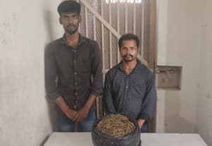  ஒடிஷாவில் இருந்து கஞ்சா கடத்தல் கோட்டக்குப்பத்தில் இருவர் கைது 4 கிலோ கஞ்சா பறிமுதல்