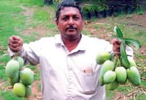  '20 ஏக்கர் மா சாகுபடியில் ஓராண்டு லாபம் ரூ.40 லட்சம்!'