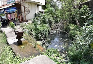  புதர் மண்டிய கால்வாய் சீரமைக்க நடவடிக்கை தேவை